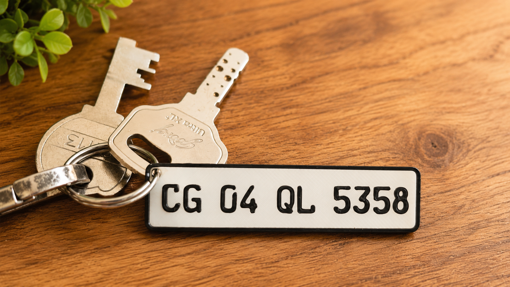 Mini Number Plate Keychain